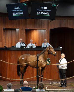 Image post by @thoroughbred_daily_news on Instagram