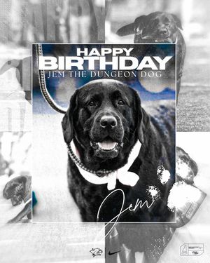 Image post by @unh_football on Instagram