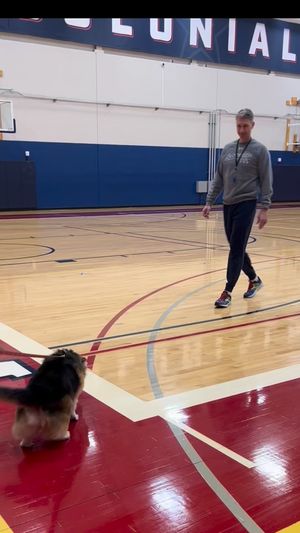 Video post by @RMUAthletics on Facebook