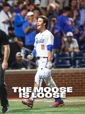 Image post by @gatorsbb on Instagram