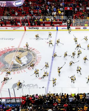 Image post by @nhl on Instagram