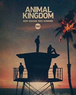 Image post by @animalkingdomtnt on Instagram