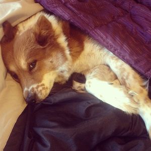 Image post by @slow_mama5 on Instagram