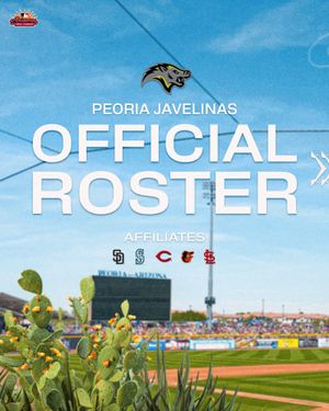 Image post by @mlbazfallleague on Instagram