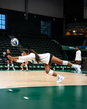 Image post by @greenwavevb on Instagram