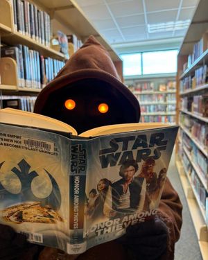 Image post by @official501st on Instagram