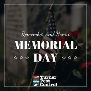 Image post by @TurnerPestControl on Facebook