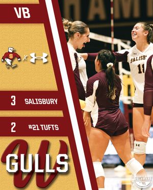 Image post by @suseagulls on Instagram