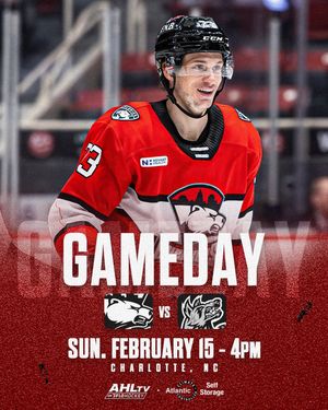 Image post by @checkershockey on Instagram