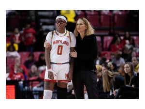 Image post by @sabinashyshphoto on Instagram