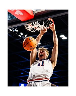 Image post by @mveldmanphoto on Instagram