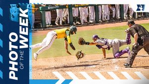 Image post by @NCAABaseball on Twitter