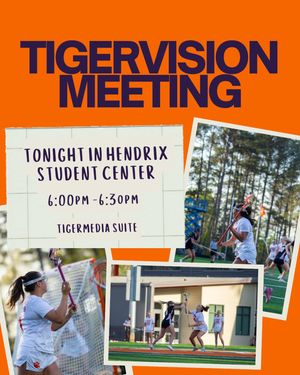 Image post by @cutigervision on Instagram