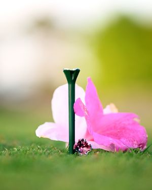 Image post by @evolvegolf on Instagram