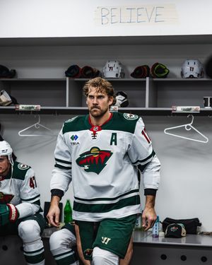 Image post by @minnesotawild on Instagram