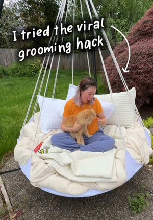 Video post by @taybeepboop on TikTok