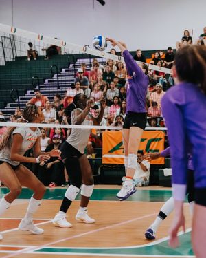 Image post by @clemsonvb on Instagram