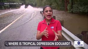 Video post by @abcnewslive on TikTok