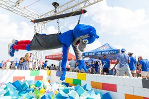 Image post by @uwestga on Instagram