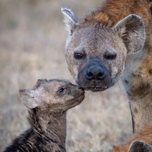 Image post by @bbcearth on Instagram