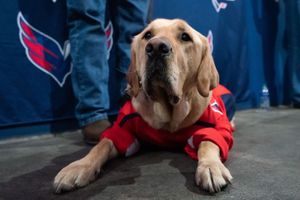 Image post by @Capitals on Facebook