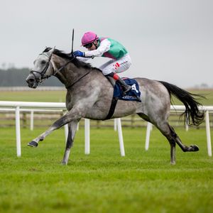 Image post by @juddmonte on Instagram