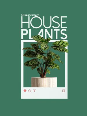Image post by @zedco.studio on Instagram