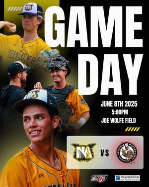 Image post by @steeplecats on Instagram