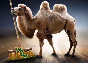 Image post by @shotbykhorne on Instagram