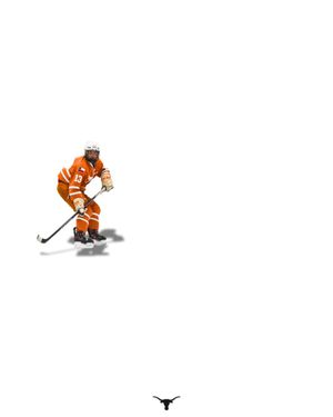 Image post by @texasicehockey on Instagram