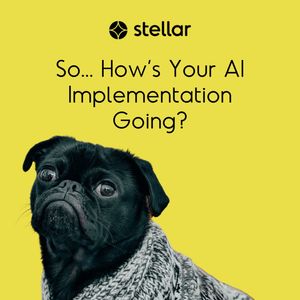 Image post by @stellaragency on Instagram