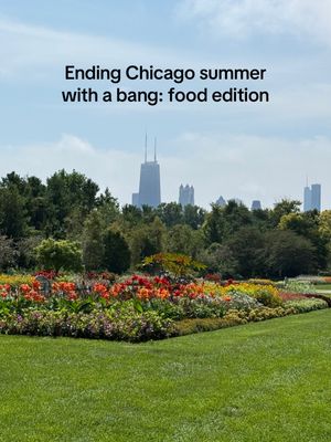 Video post by @chicago.by.ren on TikTok