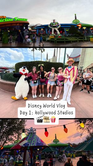 Video post by @lib_laughlove on TikTok