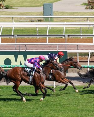 Image post by @flemingtonvrc on Instagram
