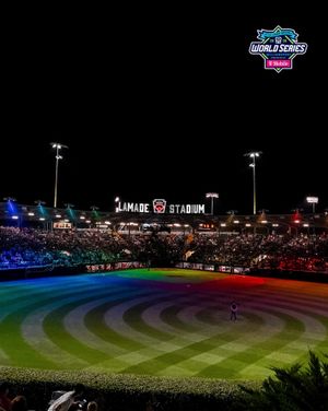 Image post by @littleleague on Instagram