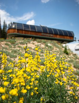 Image post by @skicrestedbutte on Instagram