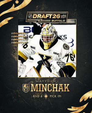 Image post by @bosak_goaltending on Instagram