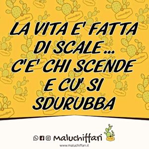 Image post by @maluchiffari on Instagram