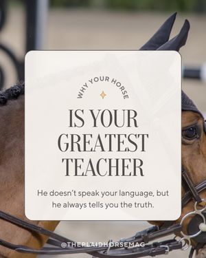 Image post by @theplaidhorsemag on Instagram