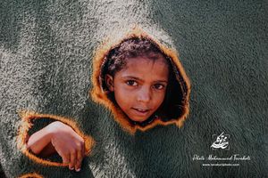 Image post by @tavakolipix on Instagram