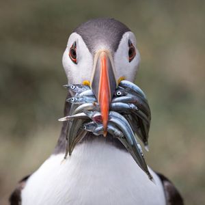 Image post by @discovery on Instagram