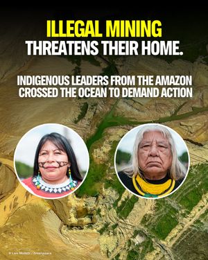 Image post by @greenpeace on Instagram