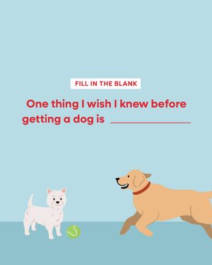 Image post by @petsmart on Instagram