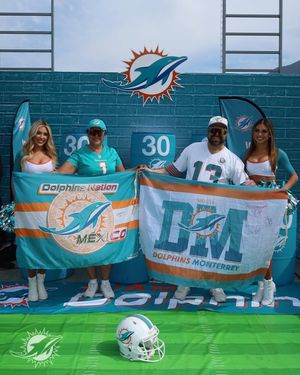 Image post by @losdolphins on Instagram