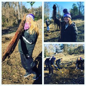 Image post by @hpuwlax on Instagram
