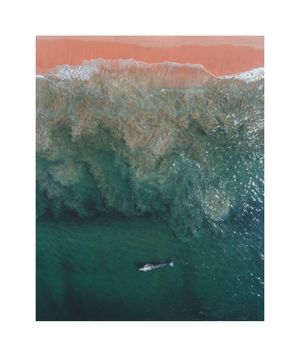 Image post by @slatermoorephotography on Instagram