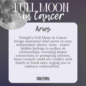 Image post by @soulterra on Instagram