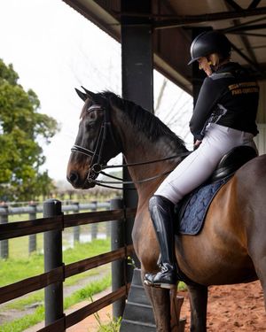 Image post by @first_bit_equine_ on Instagram