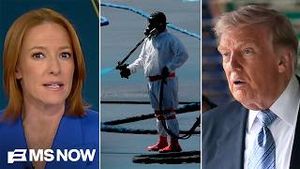 Video post by @msnbc on YouTube