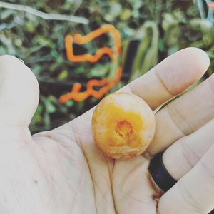 Image post by @thehuntingchallenge on Instagram